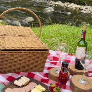 Cesta Pic Nic