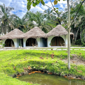 Cabañas Munay